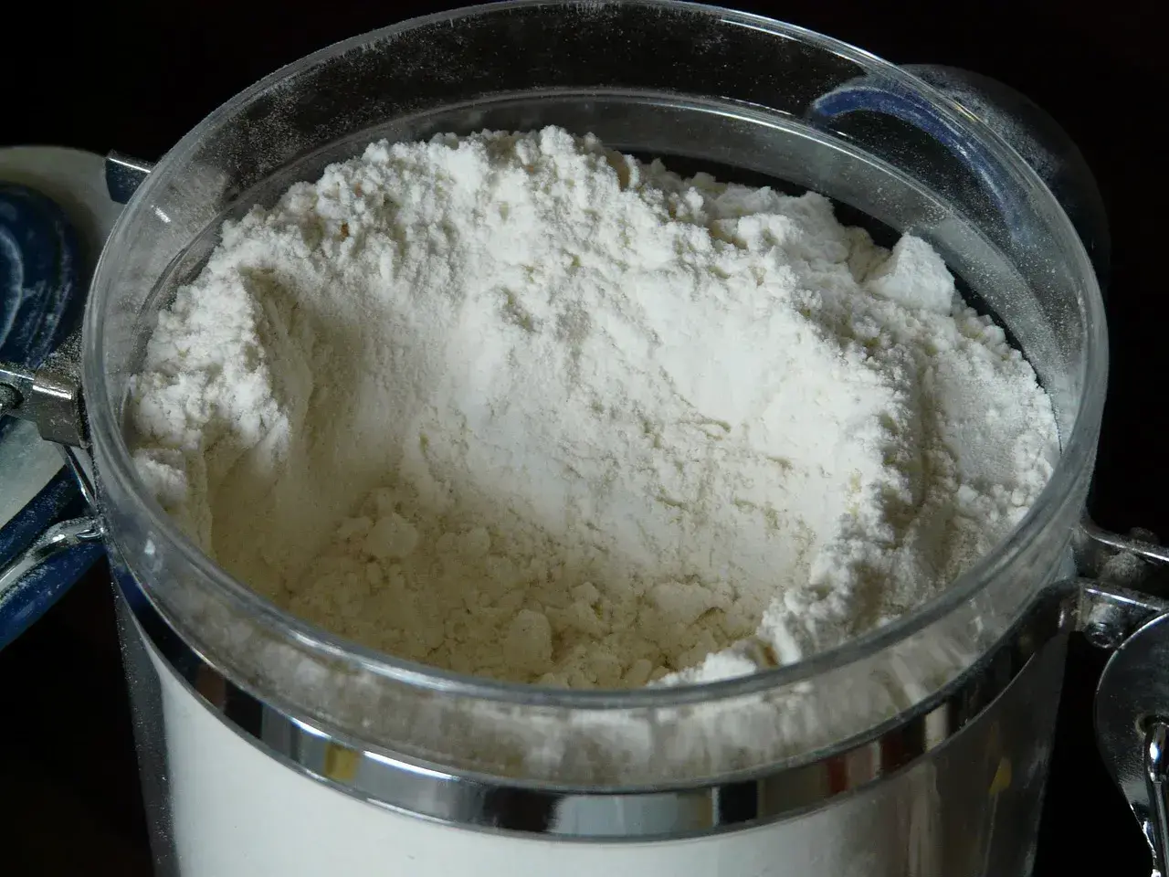 Leche en polvo entera